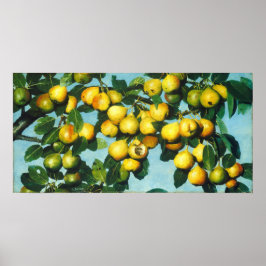 Peras de maturação - Joseph Decker Fine Art Poster