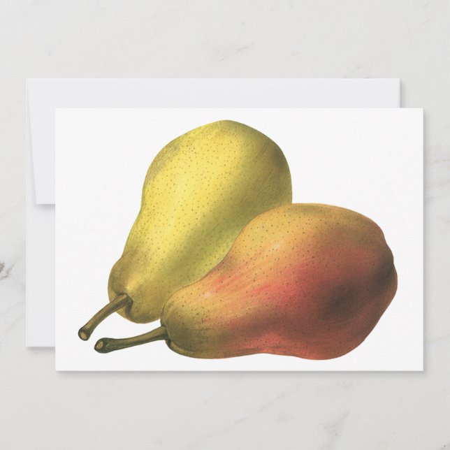 Pêras Vintage, Alimentos Orgânicos, Frutas Maduras (Frente)