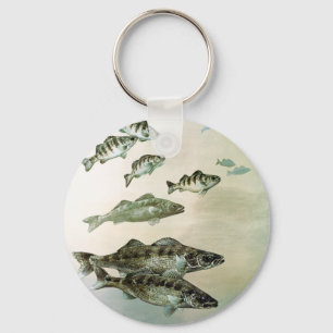 perca amarela-walleye e chaveiro de pique