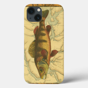 Perch Amarelo no Mapa