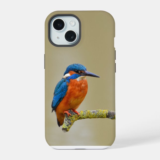 Perching Kingfisher (Verso)