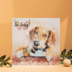 Perda de um Cartão de Cachorro Pet