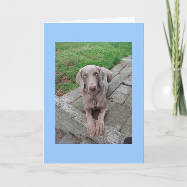 perde o cartão (Frente)