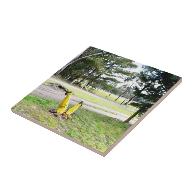 Perdido no Jardim de novo (Lateral)