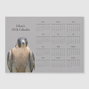 Peregrine Falcon e um Calendário 2024