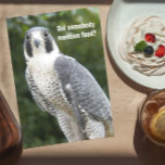 Peregrine Falcon Foto Engraçada Cartão de Aniversá<br><div class="desc">Cartão de aniversário humorístico para todos os que exibem a foto de um Falcão Peregrino procurando por comida. É melhor ver esse bolo! Selecione entre um cartão de estilo mate ou brilhante.</div>