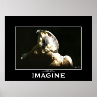 PEREGRINE FALCON Imagine Poster motivacional