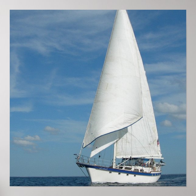 Perfect Sail Poster (Frente)