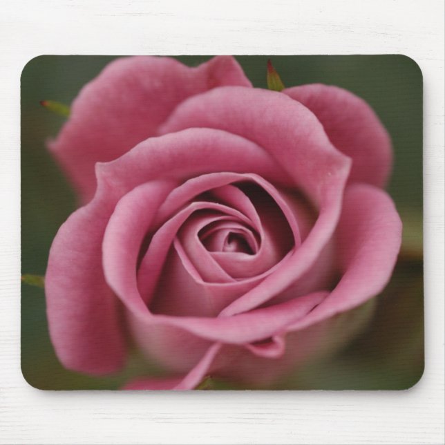 Perfeição cor-de-rosa Mousepad (Frente)
