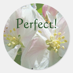 Perfeito! adesivos personalizados Flores de Maçã