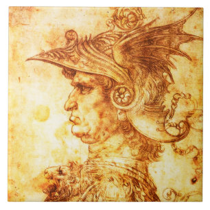 PERFIL DE GARANTIA EM DRAGON AJUDOU O DESENHO DE S