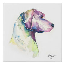 Perfil de Pooch