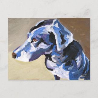 perfil do cão-sol Cartões postais