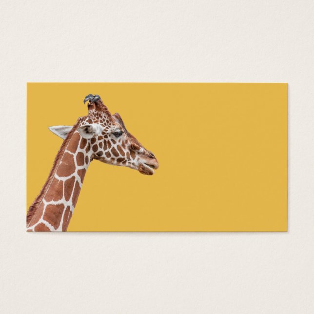 perfil Giraffe (Frente)