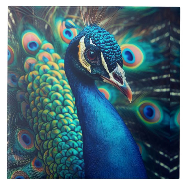 Perfil Peacock (Frente)