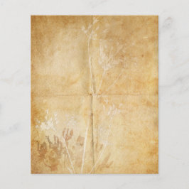 Pergaminho de Lace Watercolor da Rainha Anne