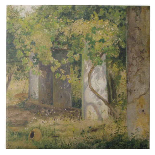 Pérgola Com Uvas De Vinho (Paisagem De Vinha) (Frente)