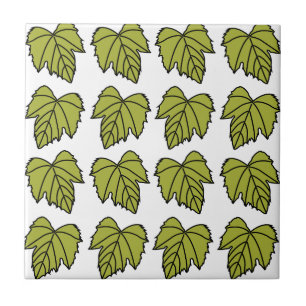 Pérgola de Uva Folhas Verdes Vinhas