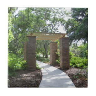 pergola no caminho