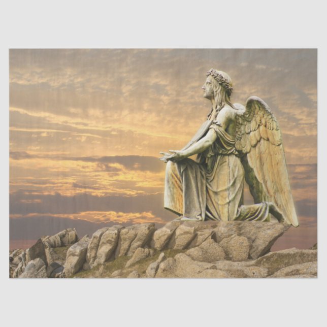 perguntando papel de tecido angel (Frente )