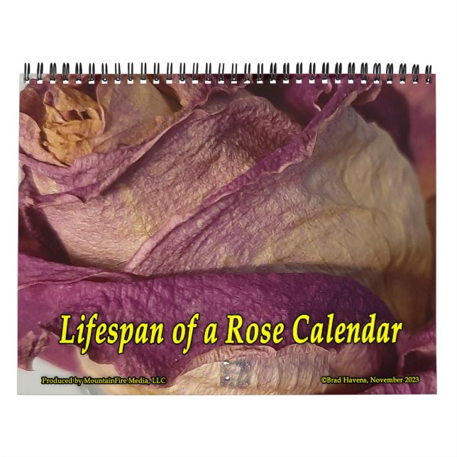 Período de vida de um calendário de Rosa (Capa)