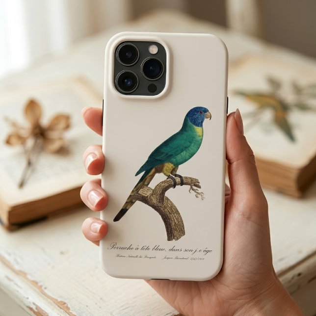 Periquito-arco-íris jovem Trichoglossus moluccanus (Perruche a tete bleue / Rainbow lorikeet, juvenile. iPhone Case)
