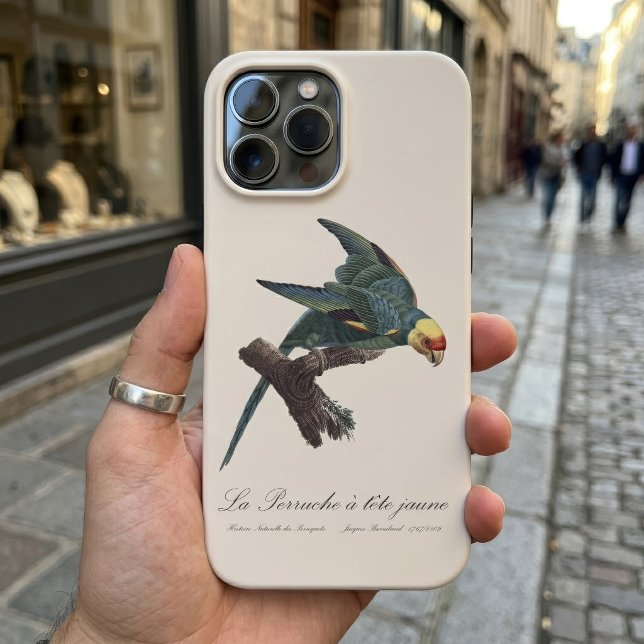 Periquito-da-carolina, Conuropsis carolinensis (Carolina parakeet, Conuropsis carolinensis. iPhone Case )