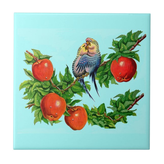 periquitos apaixonados (Frente)