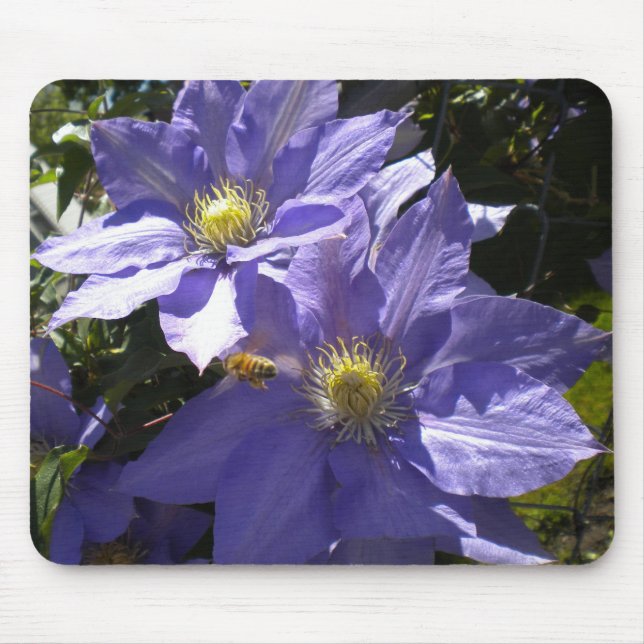Periwinkle Clematis e Bee mousepad (Frente)