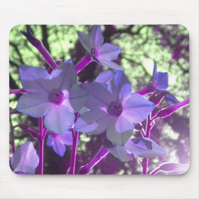 Periwinkle Nicotiana mousepad (Frente)