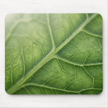 Pernas de Folha Verde Macro Natureza Mouse Pad