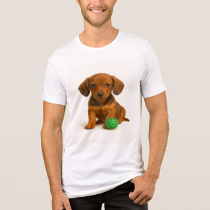 Pernas Pequenas, Brinquedo Grande - Pup Dachshund