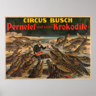 Pernelet e seus crocodilos Busch Circus Poster
