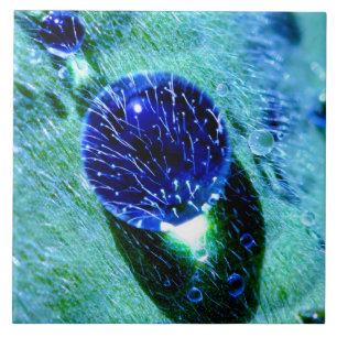 Pérolas azuis da água dos pingos de chuva, Quadr