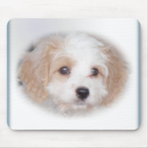 Perseguição Cavachon Mousepad