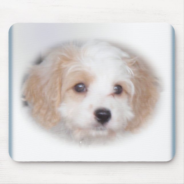 Perseguição Cavachon Mousepad (Frente)
