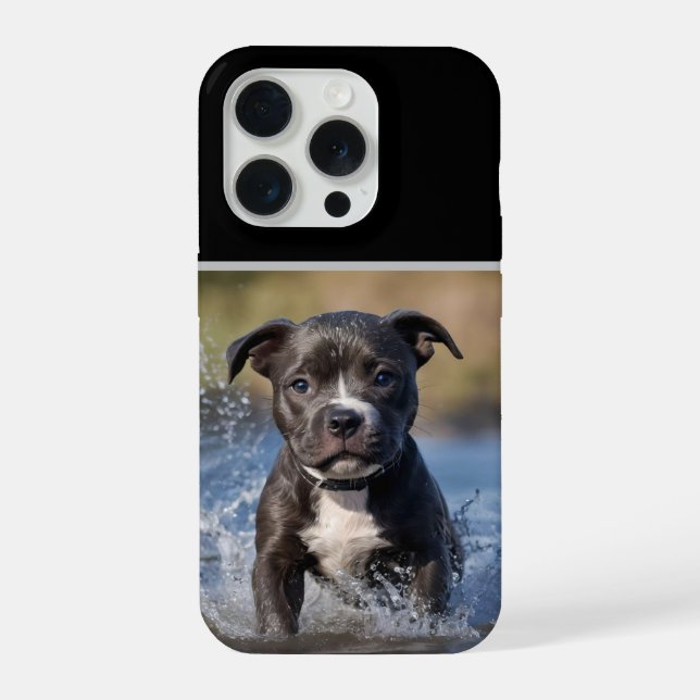 "Perseguidor de Ondas: Um cachorrinho Staffy em br (Verso)