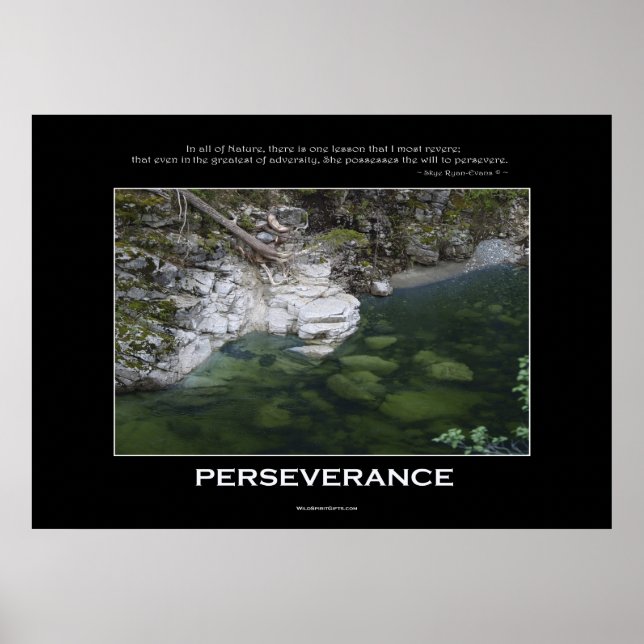 PERSEVERANCE Nature Poster (Frente)