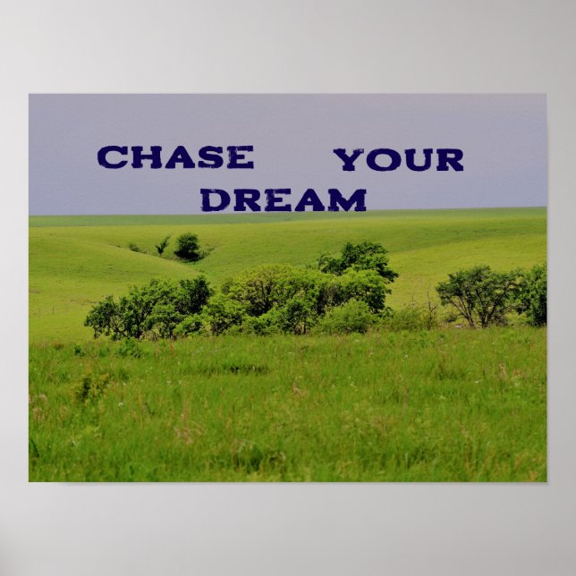 Persiga seu Poster motivador do sonho (Frente)