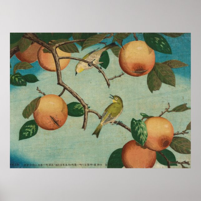 Persimmons e White-Eyes 1880 - Impressão japonês (Frente)