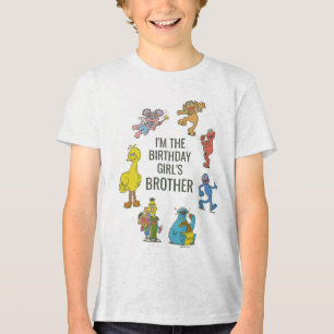 Personagens Vintage da Sesame Street Tri-Blen de A
