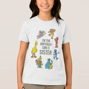 Personagens Vintage do Sesame Street Blenda de Ani