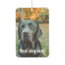 Personalização de Foto e Texto