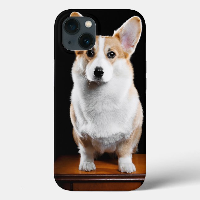 Personalizado Adicionar Sua Foto Pet (Verso)