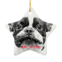 Personalizado para Enfeites de natal Buldogue Fran