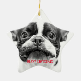 Personalizado para Enfeites de natal Buldogue Fran