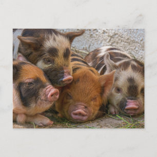 Personalizado Personalizado Seu Próprio Cartão de