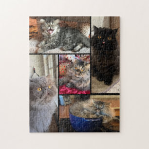 Personalizado Seu Quebra-Cabeça de 5 Fotos de Gato