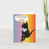 Personalizar cartão de aniversário de gato preto e
