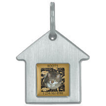 Personalizar Folha Dourada Falsa em Gato Preto